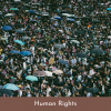 Website - Human Rights